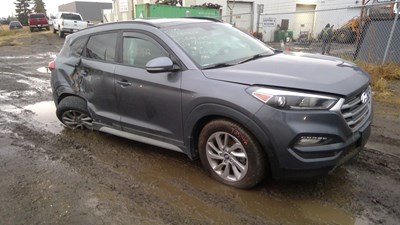 J25148, 17 Tucson, 2.0L.jpg