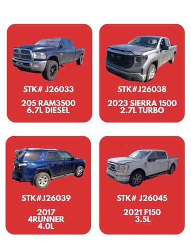 new arrivals for the week